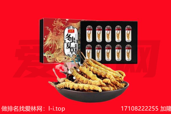 蚌埠市回收虫草.jpg